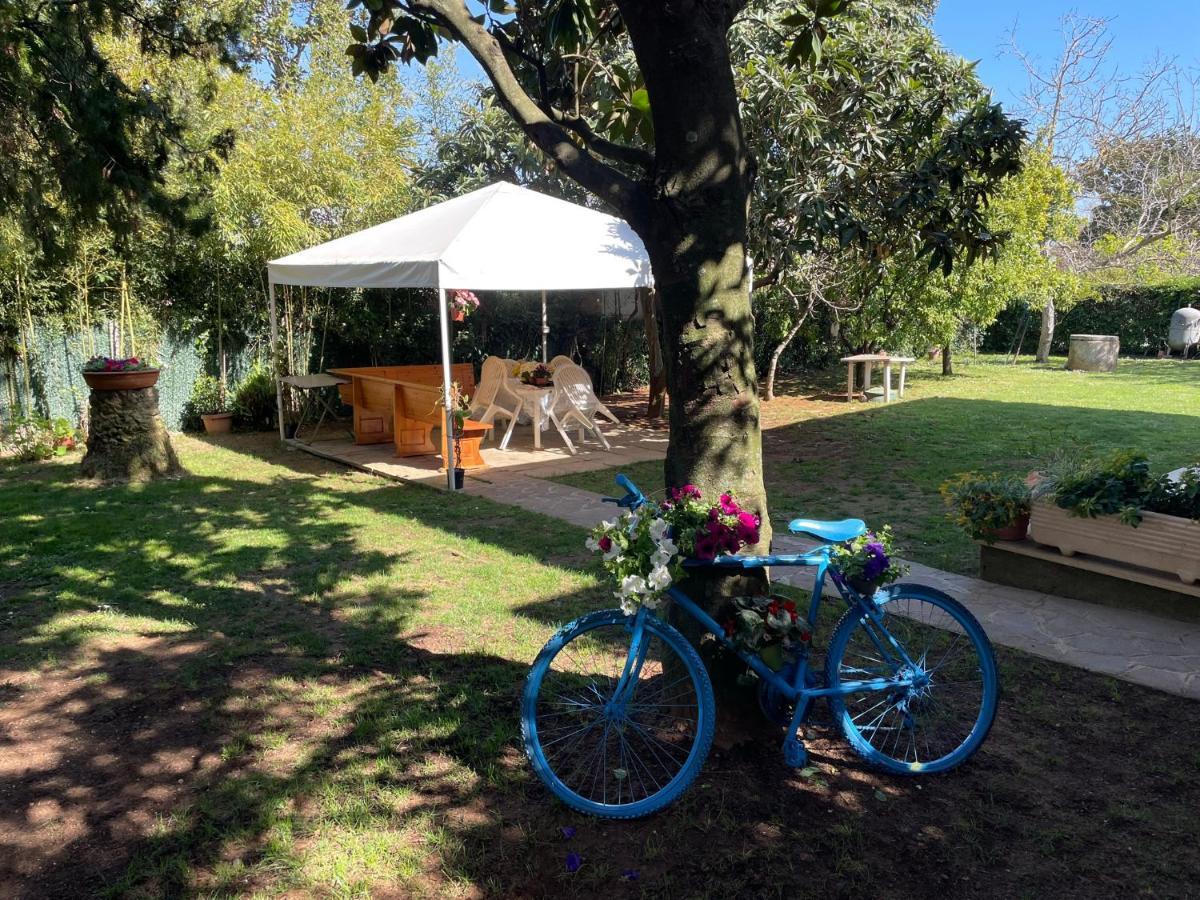 Appartamento In Villa Con Giardino Vicino Al Mare Bella Farnia Zewnętrze zdjęcie